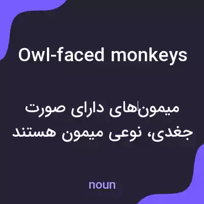 معنی owl-faced monkeys به فارسی معنی owl-faced monkeys به فارسی