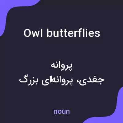 معنی owl butterflies به فارسی معنی owl butterflies به فارسی