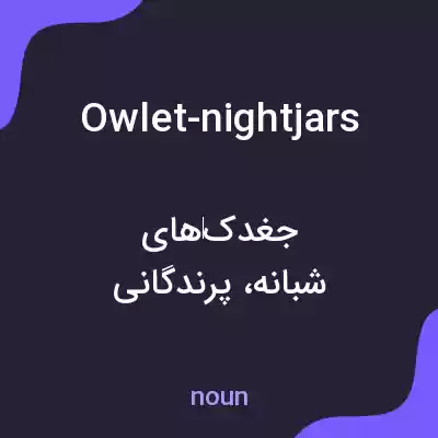 معنی owlet-nightjars به فارسی