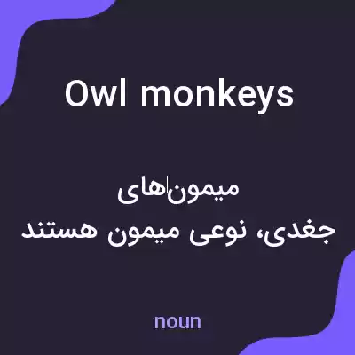 معنی owl monkeys به فارسی معنی owl monkeys به فارسی