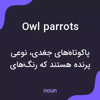 معنی owl parrots به فارسی