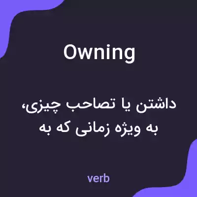 معنی owning به فارسی معنی owning به فارسی