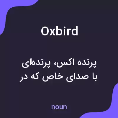 معنی oxbird به فارسی معنی oxbird به فارسی