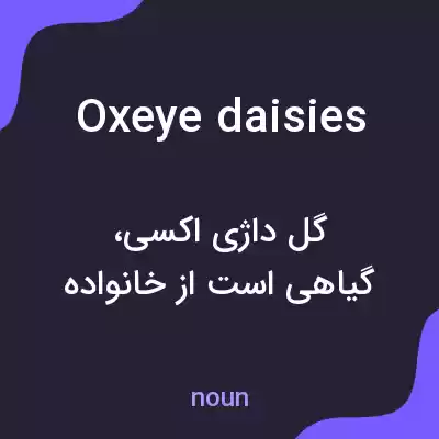 معنی oxeye daisies به فارسی معنی oxeye daisies به فارسی
