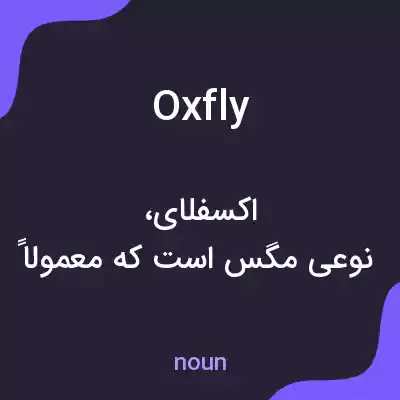 معنی oxfly به فارسی معنی oxfly به فارسی