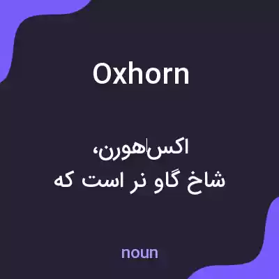 معنی oxhorn به فارسی معنی oxhorn به فارسی