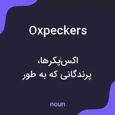 معنی oxpeckers به فارسی معنی oxpeckers به فارسی
