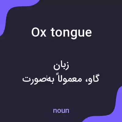 معنی ox tongue به فارسی معنی ox tongue به فارسی