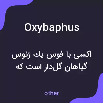 معنی oxybaphus به فارسی معنی oxybaphus به فارسی