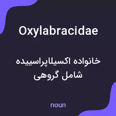 معنی oxylabracidae به فارسی معنی oxylabracidae به فارسی