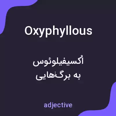 معنی oxyphyllous به فارسی معنی oxyphyllous به فارسی