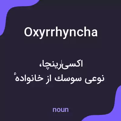 معنی oxyrrhyncha به فارسی معنی oxyrrhyncha به فارسی