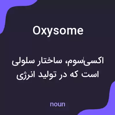 معنی oxysome به فارسی معنی oxysome به فارسی