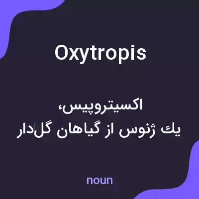 معنی oxytropis به فارسی معنی oxytropis به فارسی