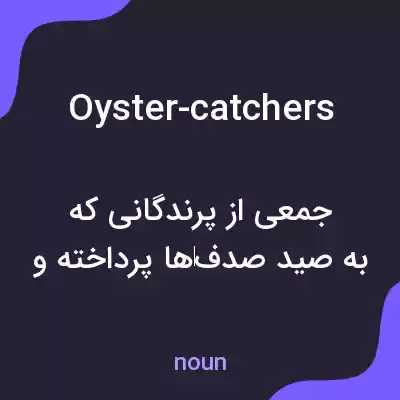معنی oyster-catchers به فارسی معنی oyster-catchers به فارسی