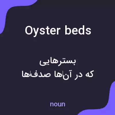 معنی oyster beds به فارسی