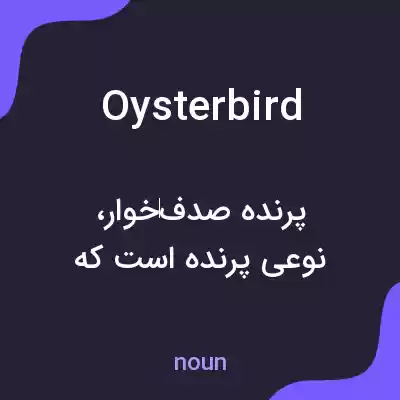 معنی oysterbird به فارسی معنی oysterbird به فارسی