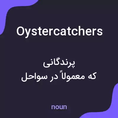 معنی oystercatchers به فارسی معنی oystercatchers به فارسی