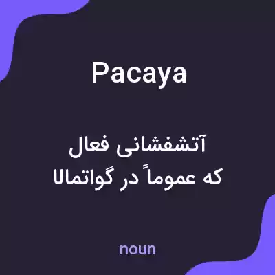 معنی pacaya به فارسی معنی pacaya به فارسی