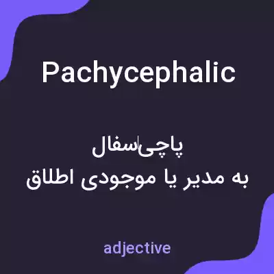 معنی pachycephalic به فارسی معنی pachycephalic به فارسی