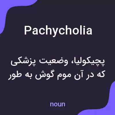 معنی pachycholia به فارسی معنی pachycholia به فارسی