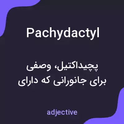 معنی pachydactyl به فارسی معنی pachydactyl به فارسی
