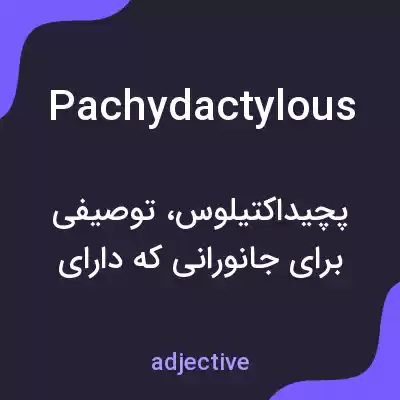 معنی pachydactylous به فارسی معنی pachydactylous به فارسی