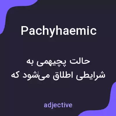 معنی pachyhaemic به فارسی معنی pachyhaemic به فارسی