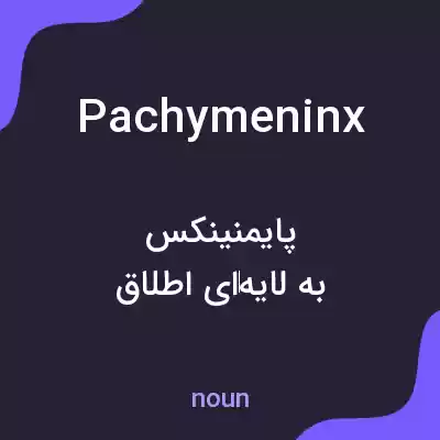 معنی pachymeninx به فارسی معنی pachymeninx به فارسی