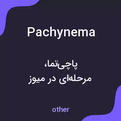 معنی pachynema به فارسی معنی pachynema به فارسی