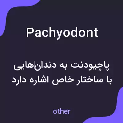 معنی pachyodont به فارسی معنی pachyodont به فارسی
