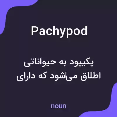 معنی pachypod به فارسی معنی pachypod به فارسی