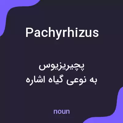 معنی pachyrhizus به فارسی معنی pachyrhizus به فارسی