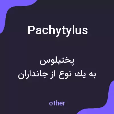 معنی pachytylus به فارسی معنی pachytylus به فارسی