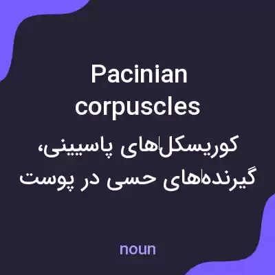 معنی pacinian corpuscles به فارسی معنی pacinian corpuscles به فارسی