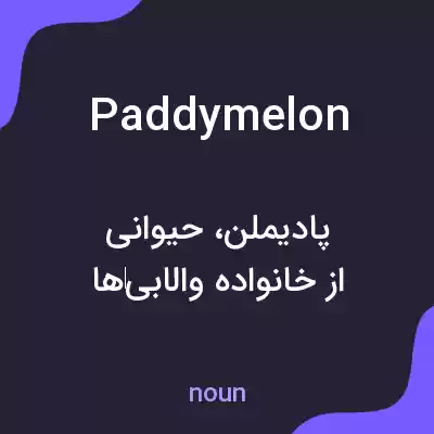 معنی paddymelon به فارسی