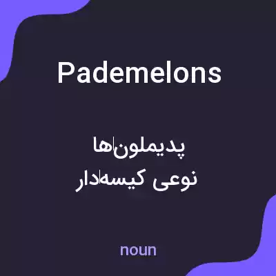 معنی pademelons به فارسی معنی pademelons به فارسی