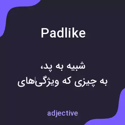 معنی padlike به فارسی معنی padlike به فارسی