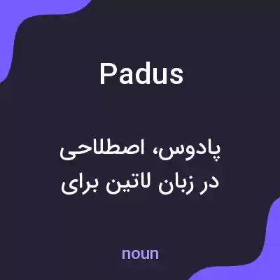 معنی padus به فارسی معنی padus به فارسی