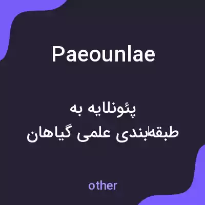 معنی paeounlae به فارسی معنی paeounlae به فارسی