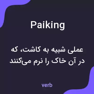 معنی paiking به فارسی معنی paiking به فارسی