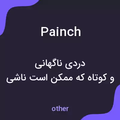 معنی painch به فارسی معنی painch به فارسی