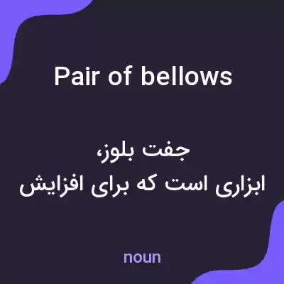 معنی pair of bellows به فارسی معنی pair of bellows به فارسی