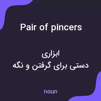 معنی pair of pincers به فارسی معنی pair of pincers به فارسی