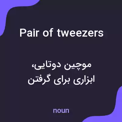 معنی pair of tweezers به فارسی معنی pair of tweezers به فارسی