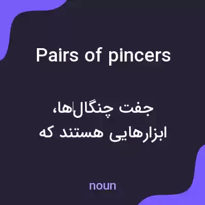 معنی pairs of pincers به فارسی معنی pairs of pincers به فارسی