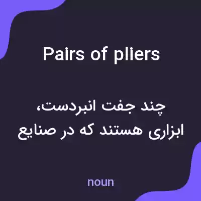 معنی pairs of pliers به فارسی معنی pairs of pliers به فارسی