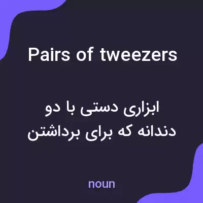 معنی pairs of tweezers به فارسی معنی pairs of tweezers به فارسی