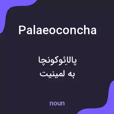 معنی palaeoconcha به فارسی معنی palaeoconcha به فارسی