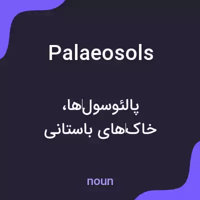 معنی palaeosols به فارسی معنی palaeosols به فارسی